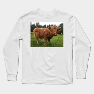 Scottish Highland Cattle Calf 2046 Long Sleeve T-Shirt